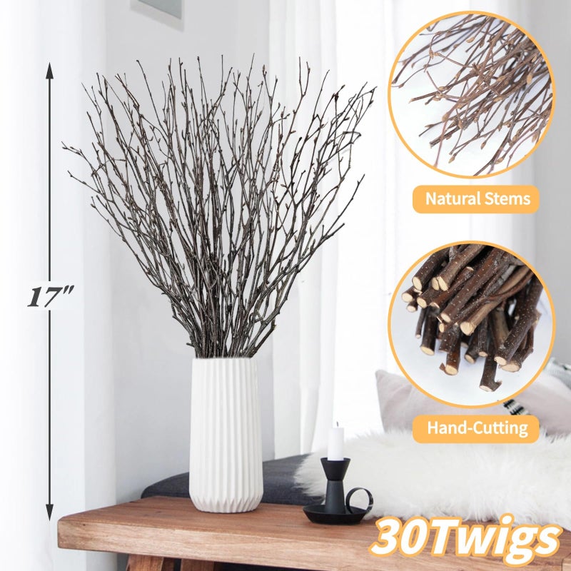 Koceko 30Pcs Real Dried Birch Twigs - 17â€ Decorative 100% Natural Birch Branches for Easter Vases, Curly Willow Branches, DIY, Floral Arrangement, Twig Wreath, Centerpiece, Rustic Home Decor - Image 3
