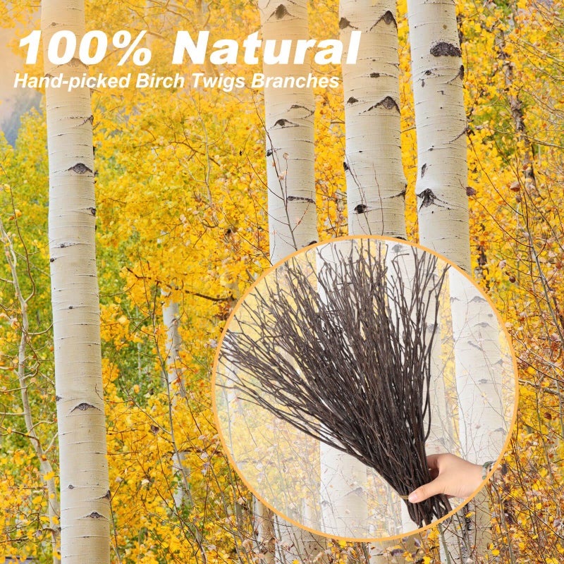Koceko 30Pcs Real Dried Birch Twigs - 17â€ Decorative 100% Natural Birch Branches for Easter Vases, Curly Willow Branches, DIY, Floral Arrangement, Twig Wreath, Centerpiece, Rustic Home Decor - Image 4