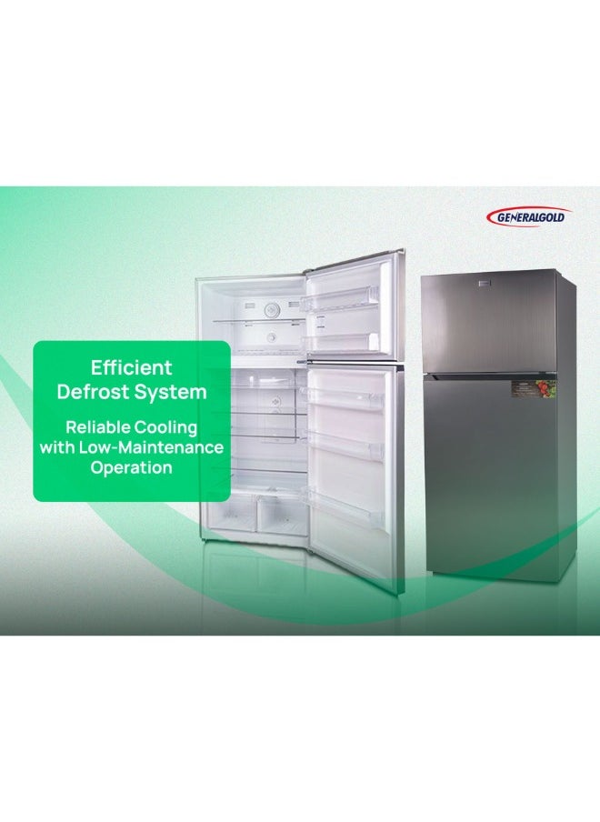 General Gold Double Door Refrigerator, 311L Capacity, Energy Efficient, Defrost System, LED Light, Sleek Inox Finish
