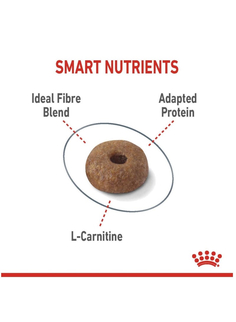 ROYAL CANIN طعام جاف خفيف الوزن للقطط البالغة 400 جرام - Image 5