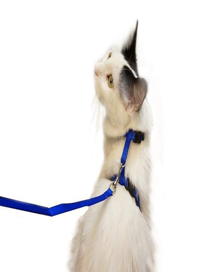 BohoBark Kitten Cat Harness and Leash for Walking Escape Proof Adjustable Vest Blue - Image 5