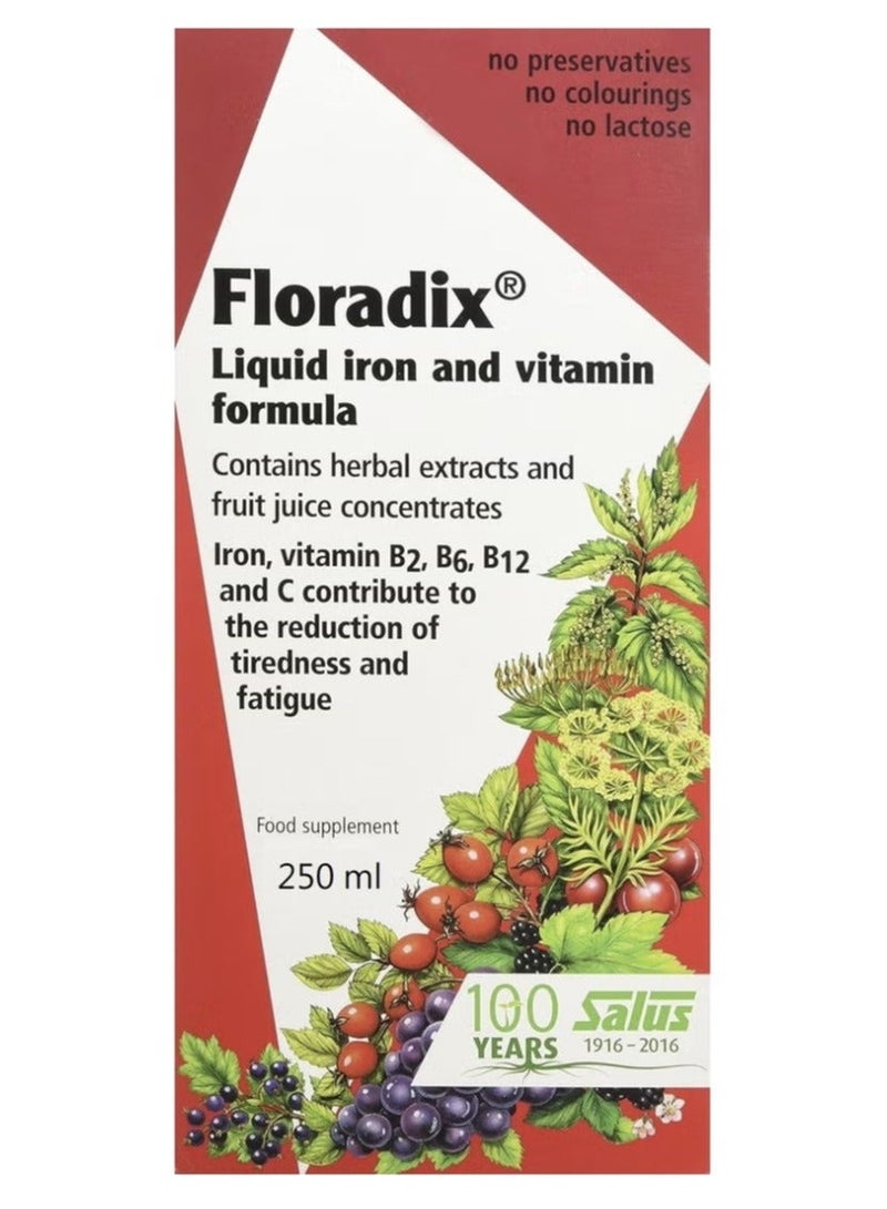 Salus Floradix, Iron Yeast Free 250ml - Image 4