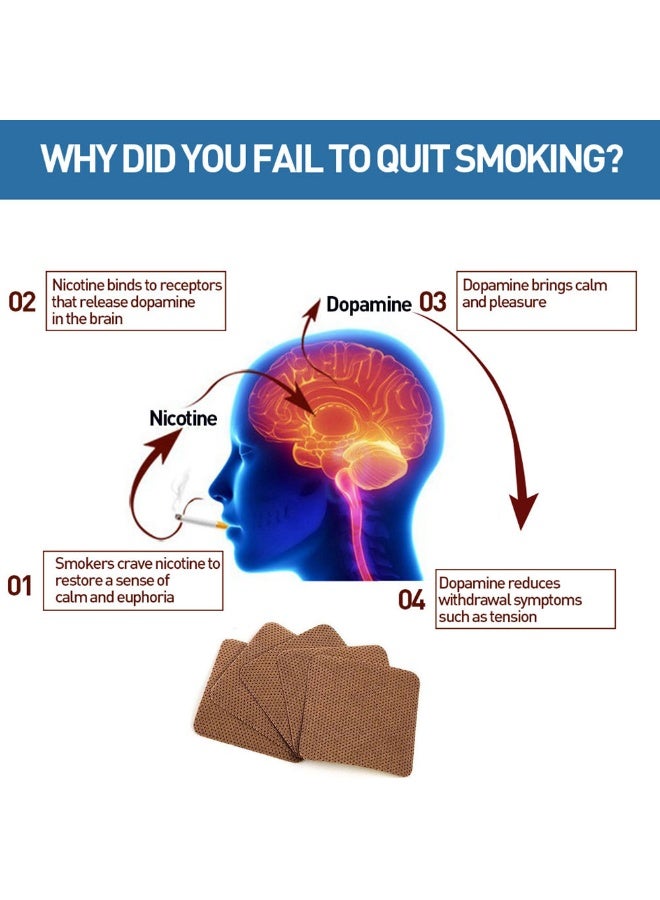 SOL LORA 20 Patches Quit Smoking Patches - Long-Lasting Nicotine Patches for Smoking Cessation, Scientific Stop Smoking Aid Helps Clear Lungs & Control Tobacco Cravings - Image 3