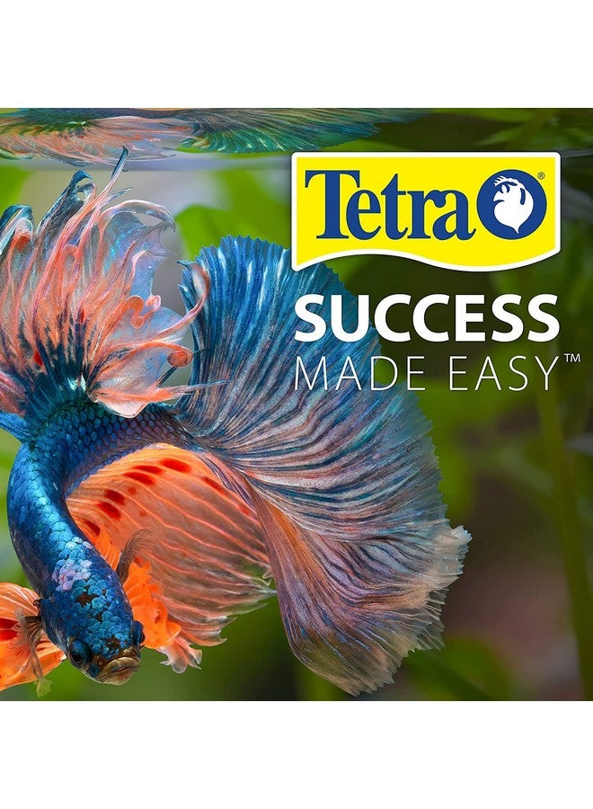 Tetra طعام سمك تيترا للرحلات والعطلات بطيء الإطلاق لأسماك الزينة 1.06 أونصة (عبوة من 1) - Image 5