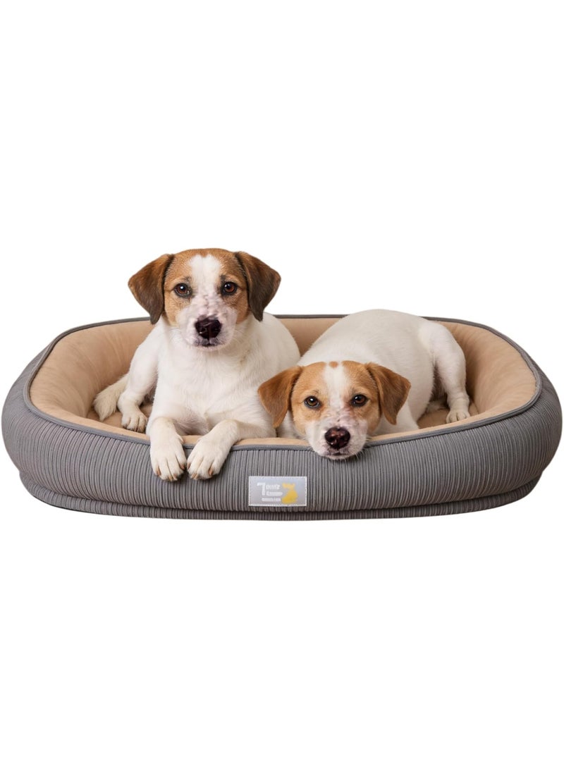 زيشينغ سرير كلب Zisheng كبير، مناسب كسرير للقطط، سرير كلب كبير، سرير جرو، سرير كلب صغير، سرير حيوانات أليفة - مرتبة عظمية قابلة للغسل 60*48*10 سم للكلاب (المقاس L كاكي) - Image 1
