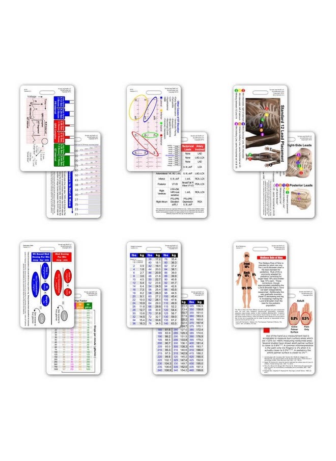 Scrubs and Stuff LLC Mini Paramedic Vertical Badge Card Set - 6 Cards  - Image 2