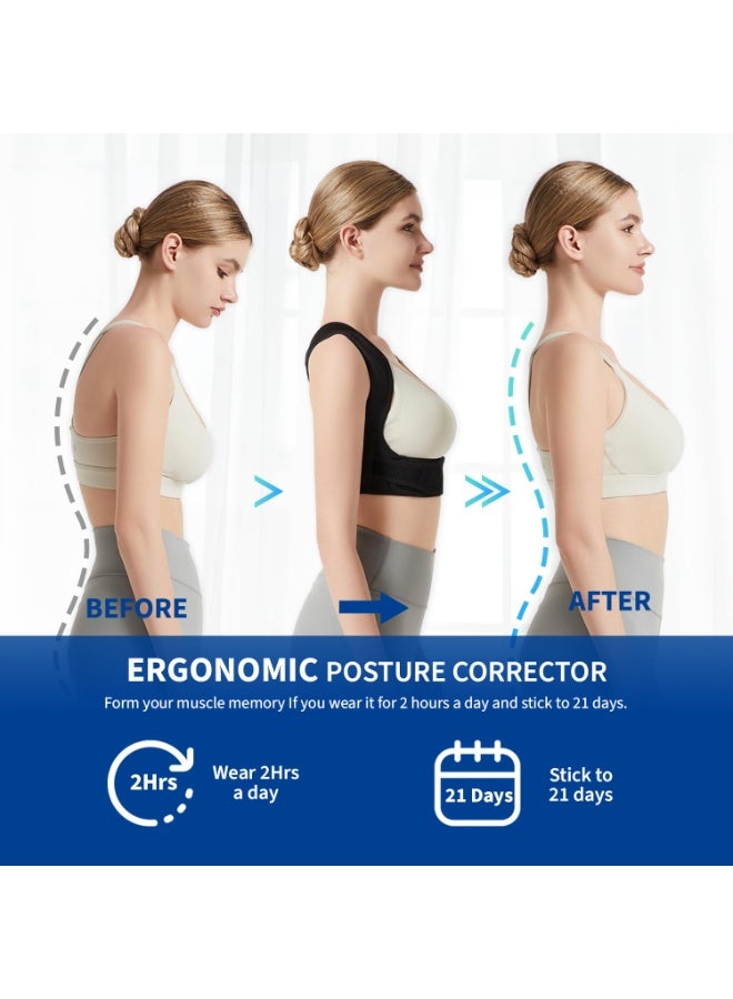 Posture Corrector for Back Support: Adjustable Shoulder Posture Brace for Men and Women (L) - Image 3