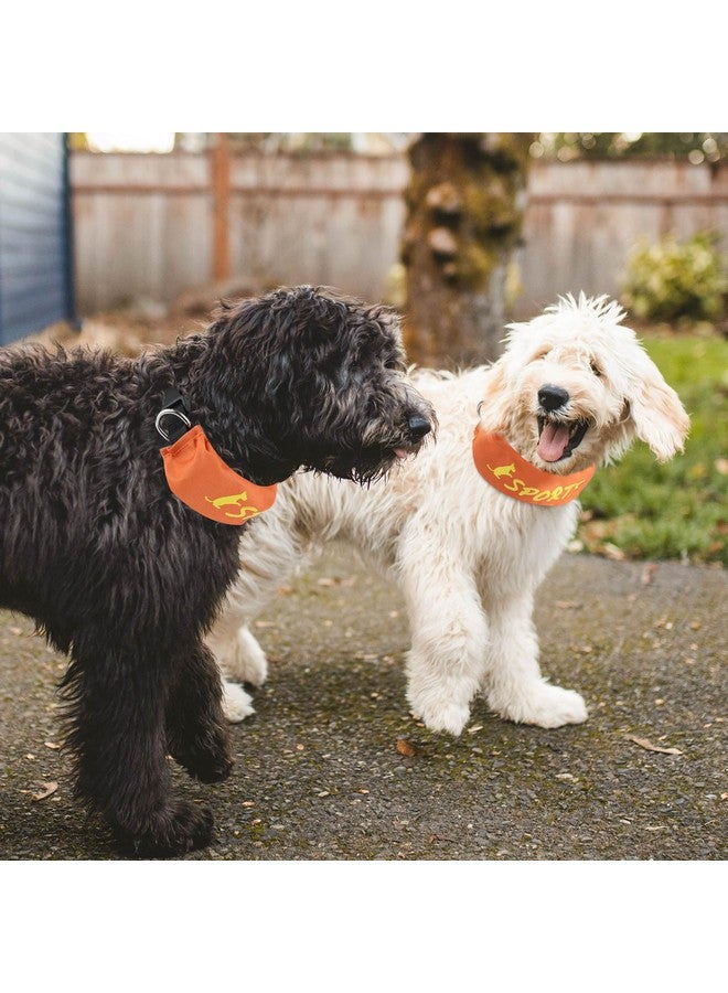 NAMSAN Retractable Dog Leash Collar for Medium to Large Dogs, Dog Collar with Retractable Leash Built-in, All-in-One, Adjustable, Orange - Image 2