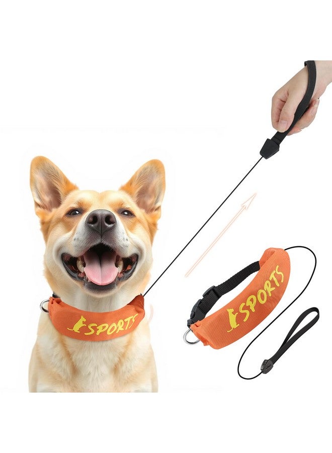 NAMSAN Retractable Dog Leash Collar for Medium to Large Dogs, Dog Collar with Retractable Leash Built-in, All-in-One, Adjustable, Orange - Image 1