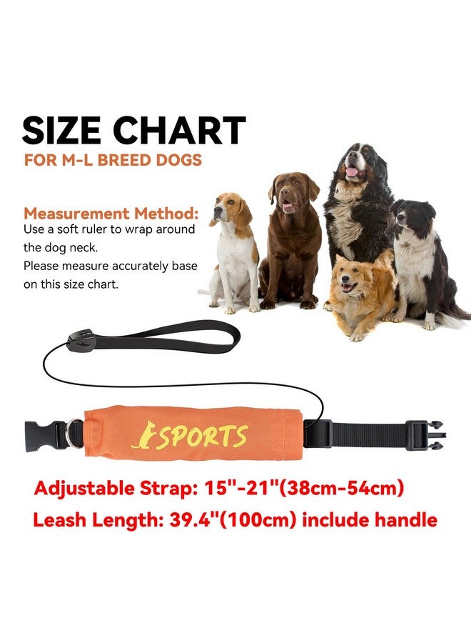 NAMSAN Retractable Dog Leash Collar for Medium to Large Dogs, Dog Collar with Retractable Leash Built-in, All-in-One, Adjustable, Orange - Image 4