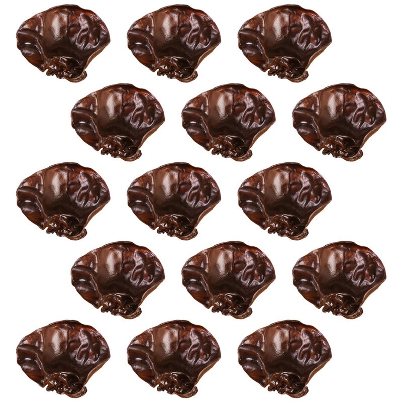 15pcs Artificial Black Simulation Vegetable Fake Agarics Lifelike Agarics Props - Image 5
