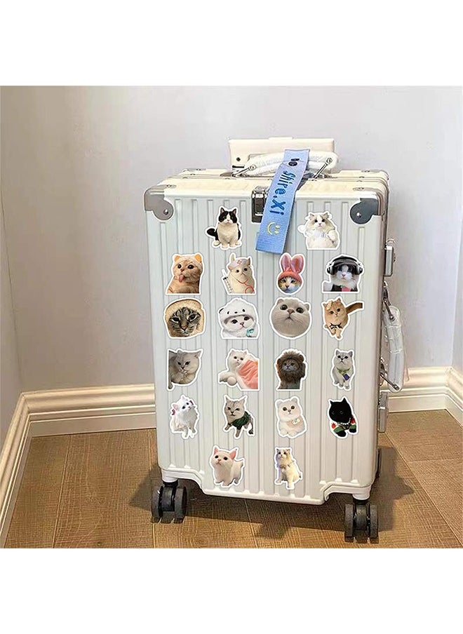 HY 60Pcs/Pack Cute Cat Stickers for Kids, Funny Stuff Water Bottle Stickers for Laptop Vinyl Classroom Prize, Cute Things Birthday Gifts Cute Stuff for Boys Girls Adults Teens  - Image 3
