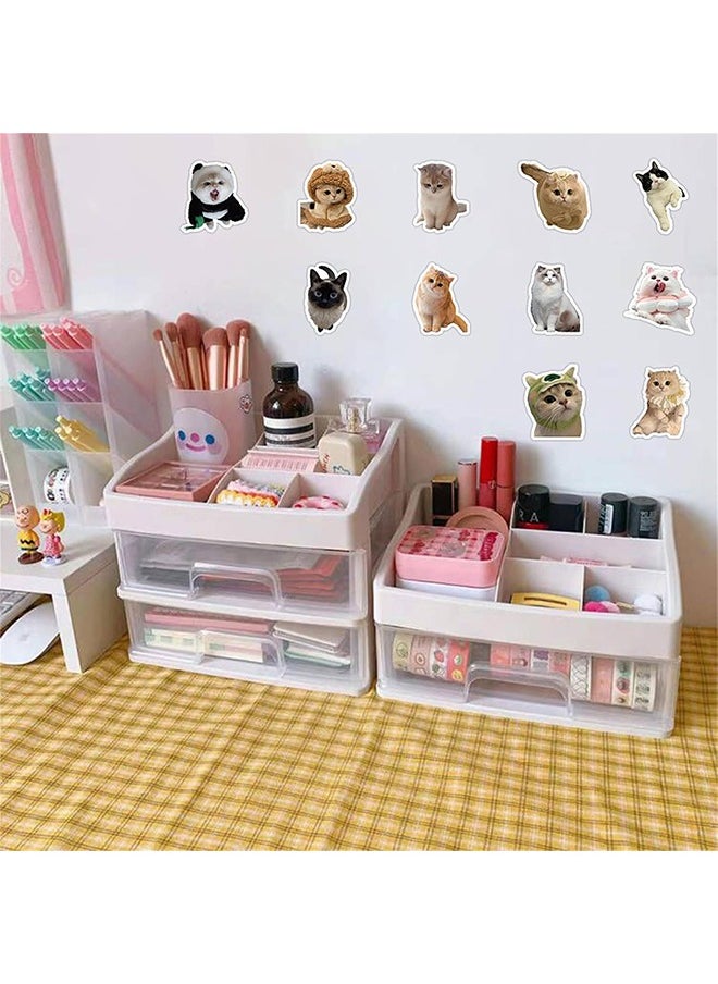 HY 60Pcs/Pack Cute Cat Stickers for Kids, Funny Stuff Water Bottle Stickers for Laptop Vinyl Classroom Prize, Cute Things Birthday Gifts Cute Stuff for Boys Girls Adults Teens  - Image 4