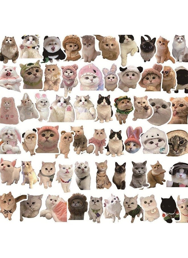 HY 60Pcs/Pack Cute Cat Stickers for Kids, Funny Stuff Water Bottle Stickers for Laptop Vinyl Classroom Prize, Cute Things Birthday Gifts Cute Stuff for Boys Girls Adults Teens  - Image 5
