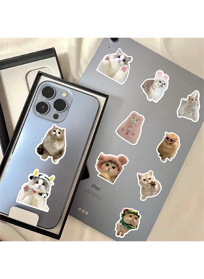 HY 60Pcs/Pack Cute Cat Stickers for Kids, Funny Stuff Water Bottle Stickers for Laptop Vinyl Classroom Prize, Cute Things Birthday Gifts Cute Stuff for Boys Girls Adults Teens  - Image 2