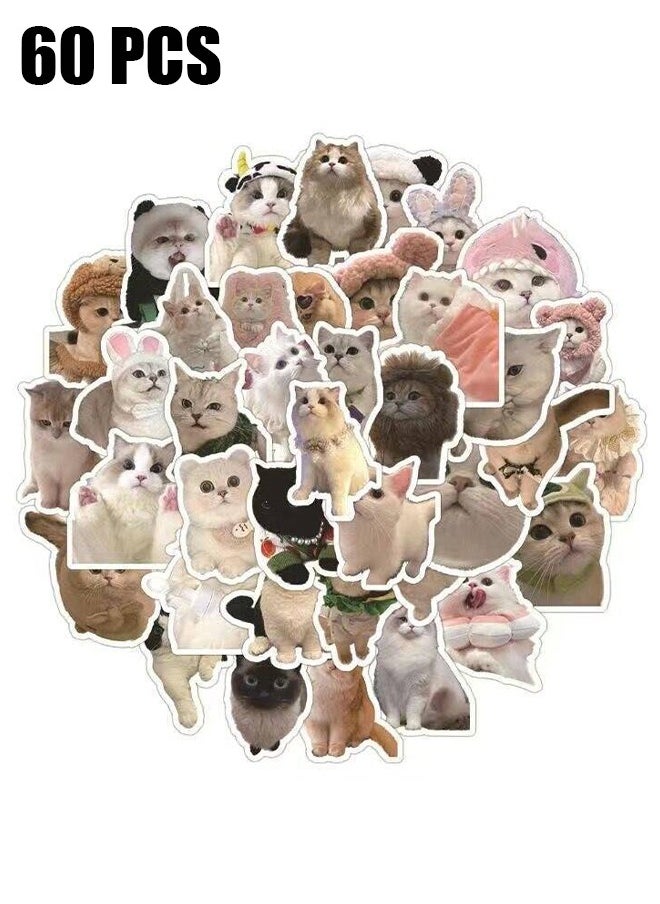 HY 60Pcs/Pack Cute Cat Stickers for Kids, Funny Stuff Water Bottle Stickers for Laptop Vinyl Classroom Prize, Cute Things Birthday Gifts Cute Stuff for Boys Girls Adults Teens  - Image 1