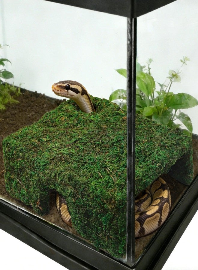 Hollima M Size Green Reptiles Cave Hide, Lizard Moss Hideout with Safe Shelter, Handmade Snake Cave Hut for Themed Terrarium Ideal for Gecko Hamster Snake Rest & Hide - Image 4
