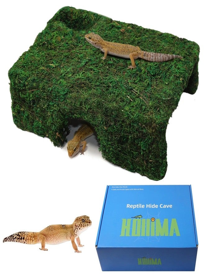 Hollima M Size Green Reptiles Cave Hide, Lizard Moss Hideout with Safe Shelter, Handmade Snake Cave Hut for Themed Terrarium Ideal for Gecko Hamster Snake Rest & Hide - Image 1