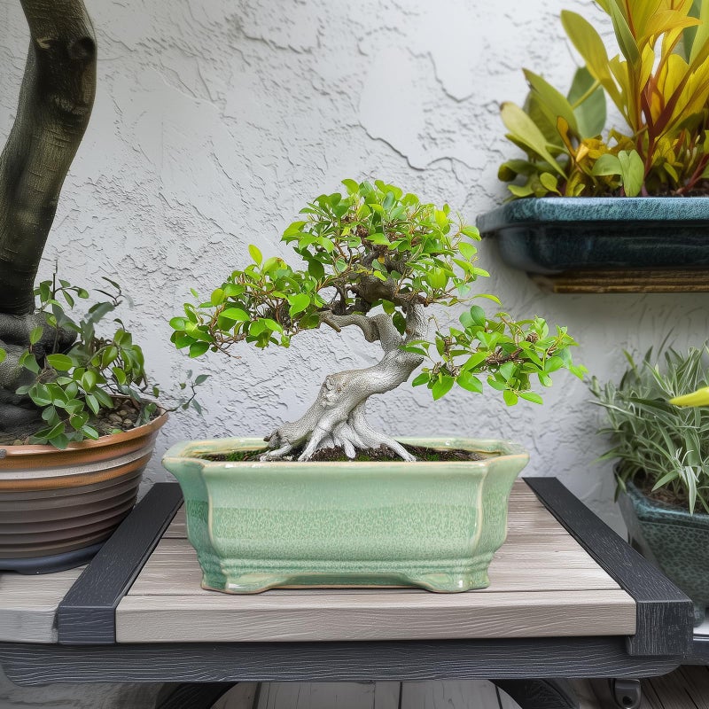 Teagas Bonsai Tree Pot 11.6 Inch - Ceramic Succulent Pots, Bonsai Planter for Indoor Outdoor, Decorative Plant Pot with Drainage Hole, Rectangular Flower Pot, Home Garden Decor, Garden Gifts, Green - Image 3