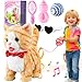HCdoujoy Yellow Walking Cat for Girls Set Toy Talking Singing Animated Robot Kitty Interactive Plush for Cat for Kids Kitten Robotic Plush That Meow and Purrs Electric Robot for Toddlers Baby - Image 2