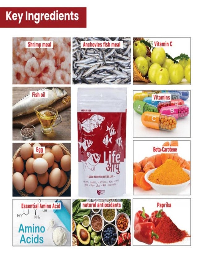 THE BRREED Life Aayu Color Enhancing Fish Food for Freshwater Fishes - Medium - 100g, All Life Stages, Pellet - Image 3
