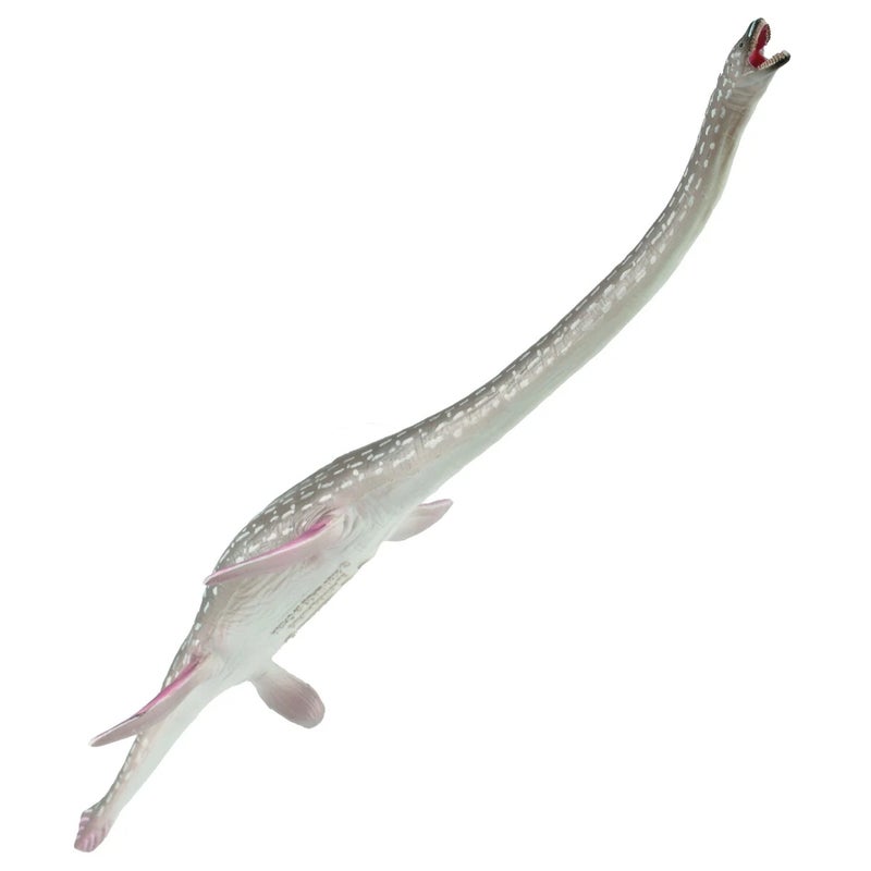 Collecta - Elasmosaurus Dinosaur - 88922 - Image 1