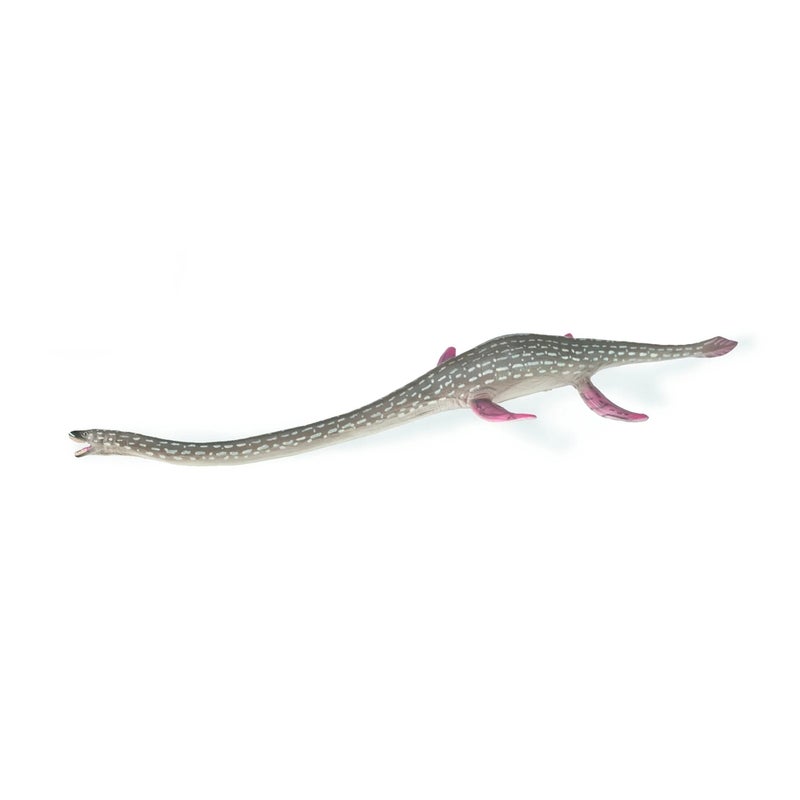 Collecta - Elasmosaurus Dinosaur - 88922 - Image 2