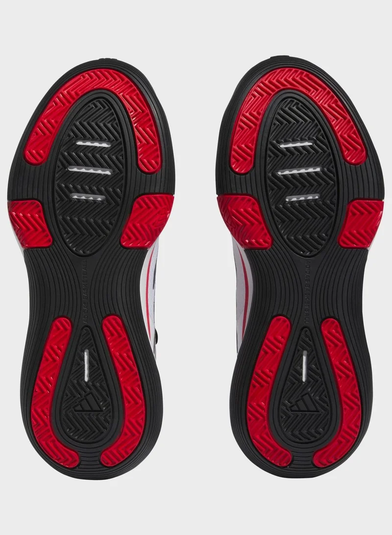 Adidas Bounce Legends Shoes