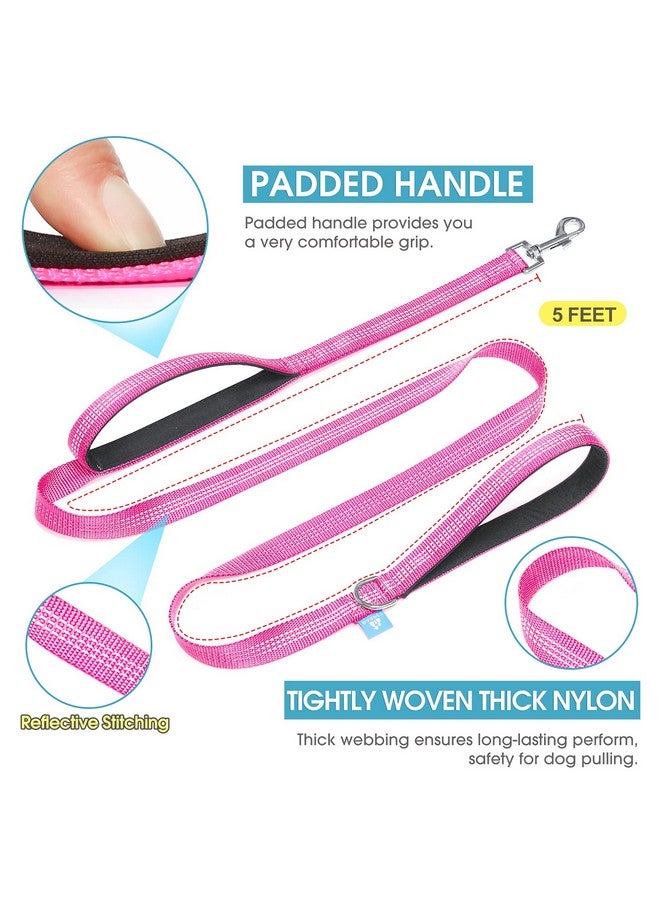 با بِت مقود الكلب بمقبضين من BAAPET، مقابض مبطنة ناعمة مزدوجة مع مقبض للتحكم في حركة المرور للكلاب الصغيرة والمتوسطة أو الكبيرة (3/4 بوصة × 5 قدم، وردي) - Image 2