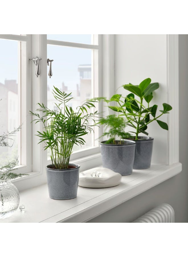 Grey Plant Pot – Indoor & Outdoor Decorative Flower Pot, Durable and Stylish, 9 cm Diameter - Image 3