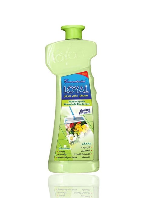 Multi-Purpose Household Deodorizer Concentrated Gel, Spring Flowers, 700ml