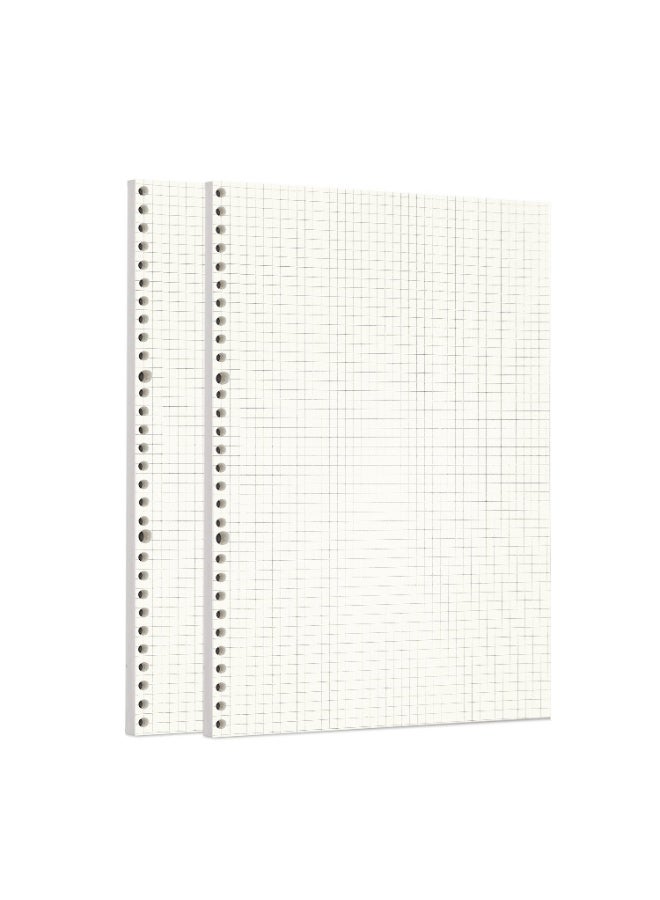 Zelten 2 Pack A4 90 Sheets/180 Pages Squared Loose Leaf Punched Paper Refills Paper for 30 Hole Binder Personal Organizer Diary Notebook Refillable Planner - Image 1