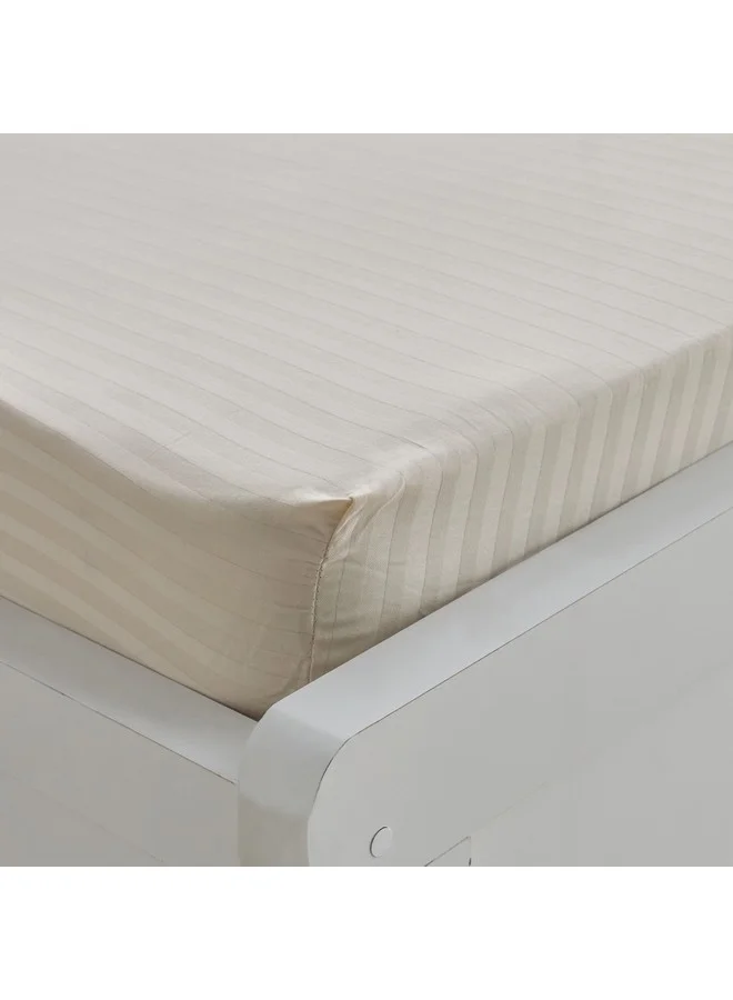هوم بوكس شرشف سرير مفرد قطن ساتان هاميلتون مخطط 200 × 36 × 90 سم