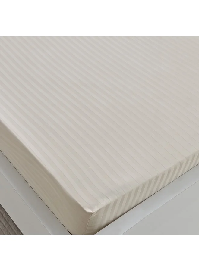 هوم بوكس شرشف سرير مفرد قطن ساتان هاميلتون مخطط 200 × 36 × 90 سم