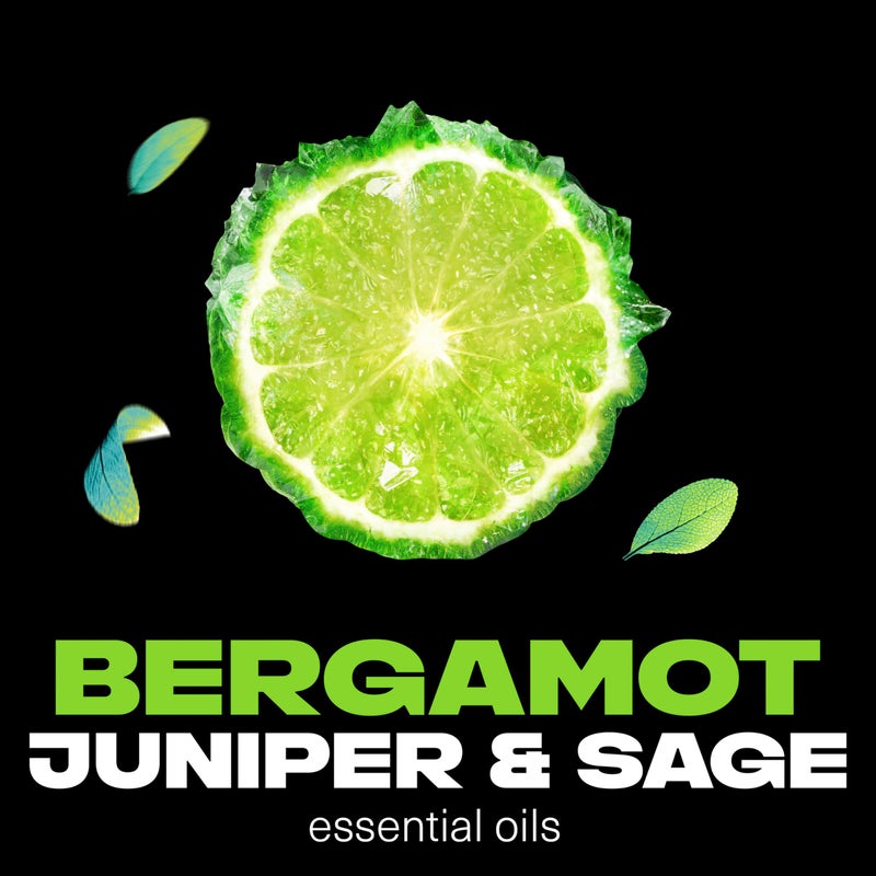 Axe مجموعة AXE للعطور الفاخرة - بخاخ مزيل العرق للرجال برائحة أكوا وبرغموت 3 قطع مع حماية من الروائح لمدة 72 ساعة وانتعاش معزّز بزيوت أكوا، برغموت، والمريمية 4 أونصات - Image 3