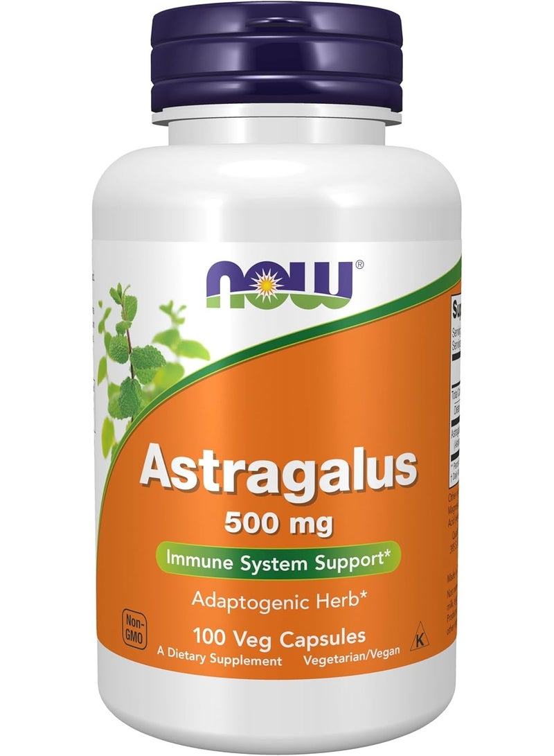 now Astragalus  500 mg, Immune System Support 100 Capsules - Image 1