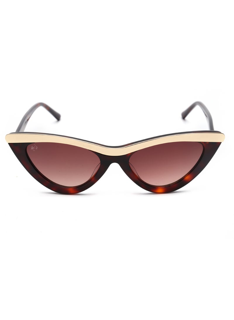 SOL.K Glow-K Sol.K Sunglasses - Gradient Brown CR-39 Lenses with Havana Brown Frame, Stainless Steel Detailing, Fashion Statement, UV400 Protection - Image 1
