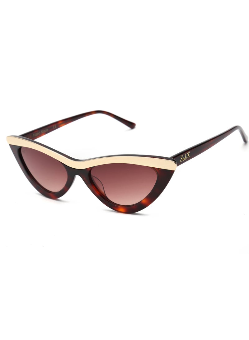SOL.K Glow-K Sol.K Sunglasses - Gradient Brown CR-39 Lenses with Havana Brown Frame, Stainless Steel Detailing, Fashion Statement, UV400 Protection - Image 2
