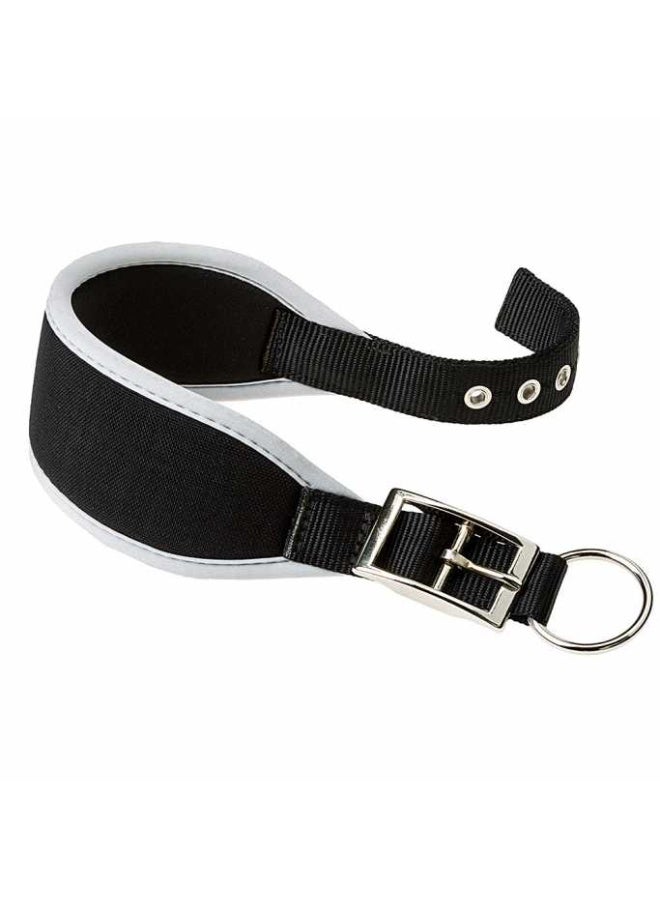 Ferplast Ergocomfort CW15/32 Padded Dog Black Collar, 26-32cm x 15mm