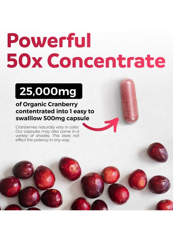 PURE CO أقراص التوت البري العضوي - تركيز 50:1 يعادل 25,000 ملغ من التوت البري الطازج (نباتي) لصحة المسالك البولية وتنظيف الكلى - أقراص التوت البري للنساء - مكمل دعم التهاب المسالك البولية - 60 كبسولة - Image 2