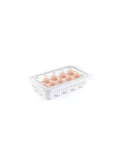 Plastic Egg Organizer Case For 15 Pieces with Cover - pzsku/Z7347BAE7CACD06F4CEAFZ/45/_/1694006379/96a5c721-2083-409b-a796-edba22544897