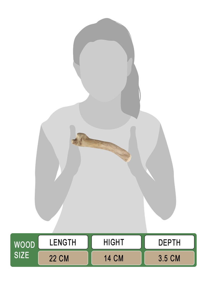 CHEWY BONE medium Dog Chew Wooden Stick Organic Indonesian Java wood for aggressive chewers For teething and Interactive play  - Image 2