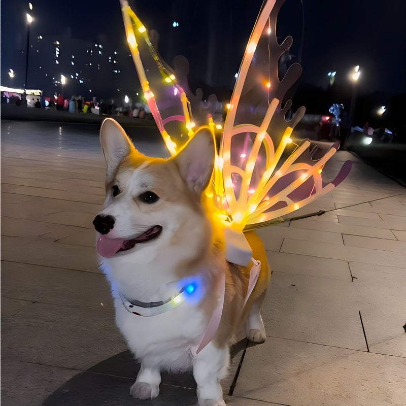Glowing Butterfly Fairy Wings For Girl Women LED Cosplay Costume Wings With Own Battery Halloween Christmas Birthday Gift - Image 1