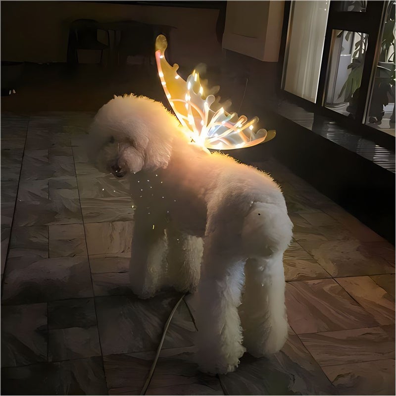 Glowing Butterfly Fairy Wings For Girl Women LED Cosplay Costume Wings With Own Battery Halloween Christmas Birthday Gift - Image 4