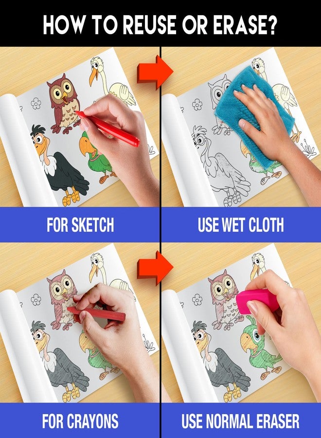 Inkmeo | Birds Wall Colouring Roll | AR Enabled | Interactive Educational Learning Chart | for Kids | Ages 2+ | Best Gift | Size (6 X 40 Inches) | 20 Unique Birds,Bird Sounds - Image 5