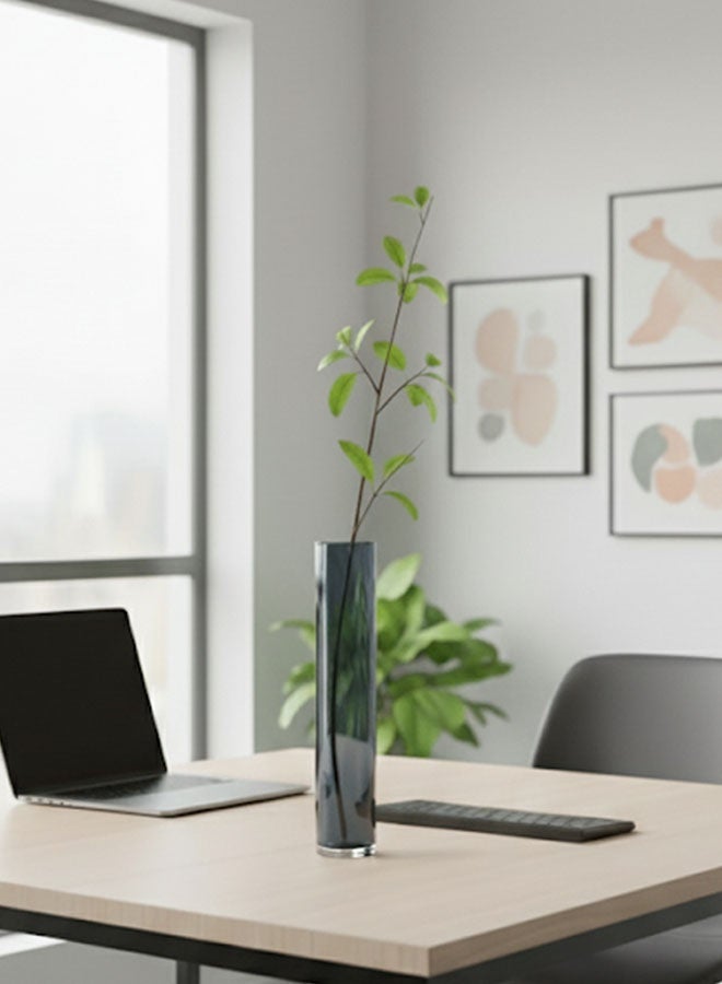 سويس كانتون فازة زهور زجاجية فاخرة أسطوانية - أسود شفاف، 25 سم، تصميم أنيق، 4.8 سم قطر، مثالية للباقة أو كزينة مستقلة، تشطيب عالي الوضوح، متينة وسهلة التنظيف، مثالية للمنزل والمكتب - Image 3