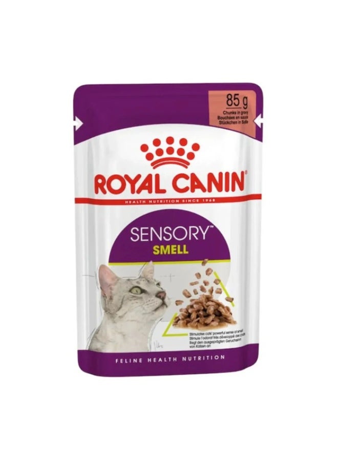 Royal Canin Feline Health Nutrition Sensory Smell Gravy Cat Wet Food - 12X85g - Image 4