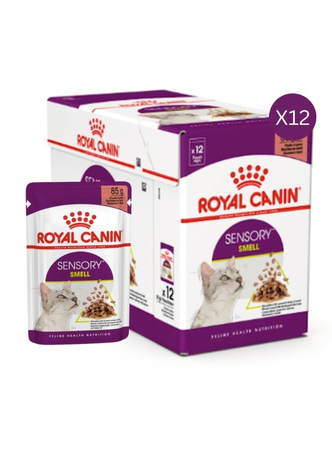 Royal Canin Feline Health Nutrition Sensory Smell Gravy Cat Wet Food - 12X85g - Image 1