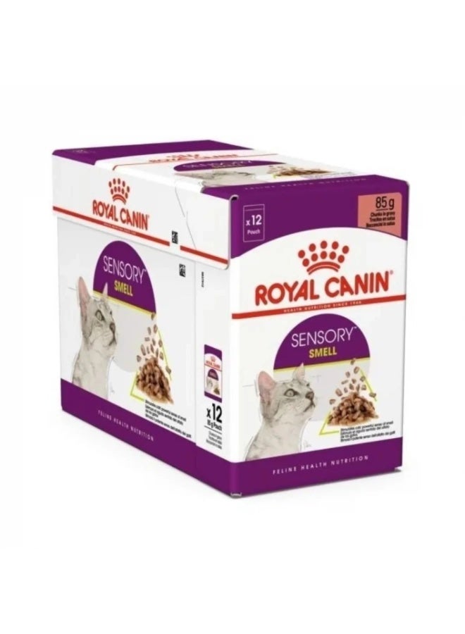Royal Canin Feline Health Nutrition Sensory Smell Gravy Cat Wet Food - 12X85g - Image 3