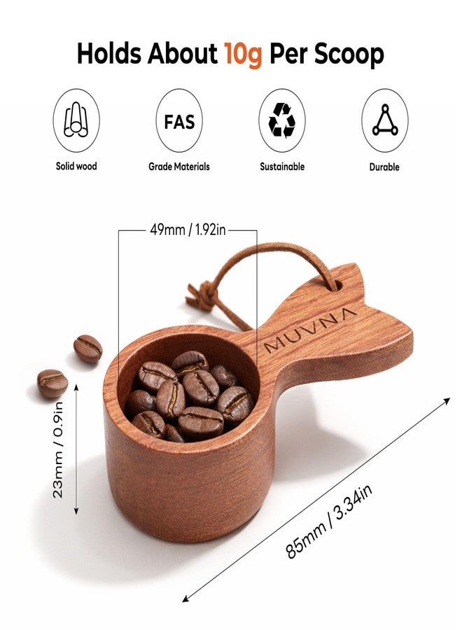 MUVNA Walnut Coffee Scoop - 10g Wooden Measuring Spoon, Handcrafted Coffee Bean Scoop for Ground Coffee & Tea, Kitchen Accessories Gift for Coffee Lovers - Image 2